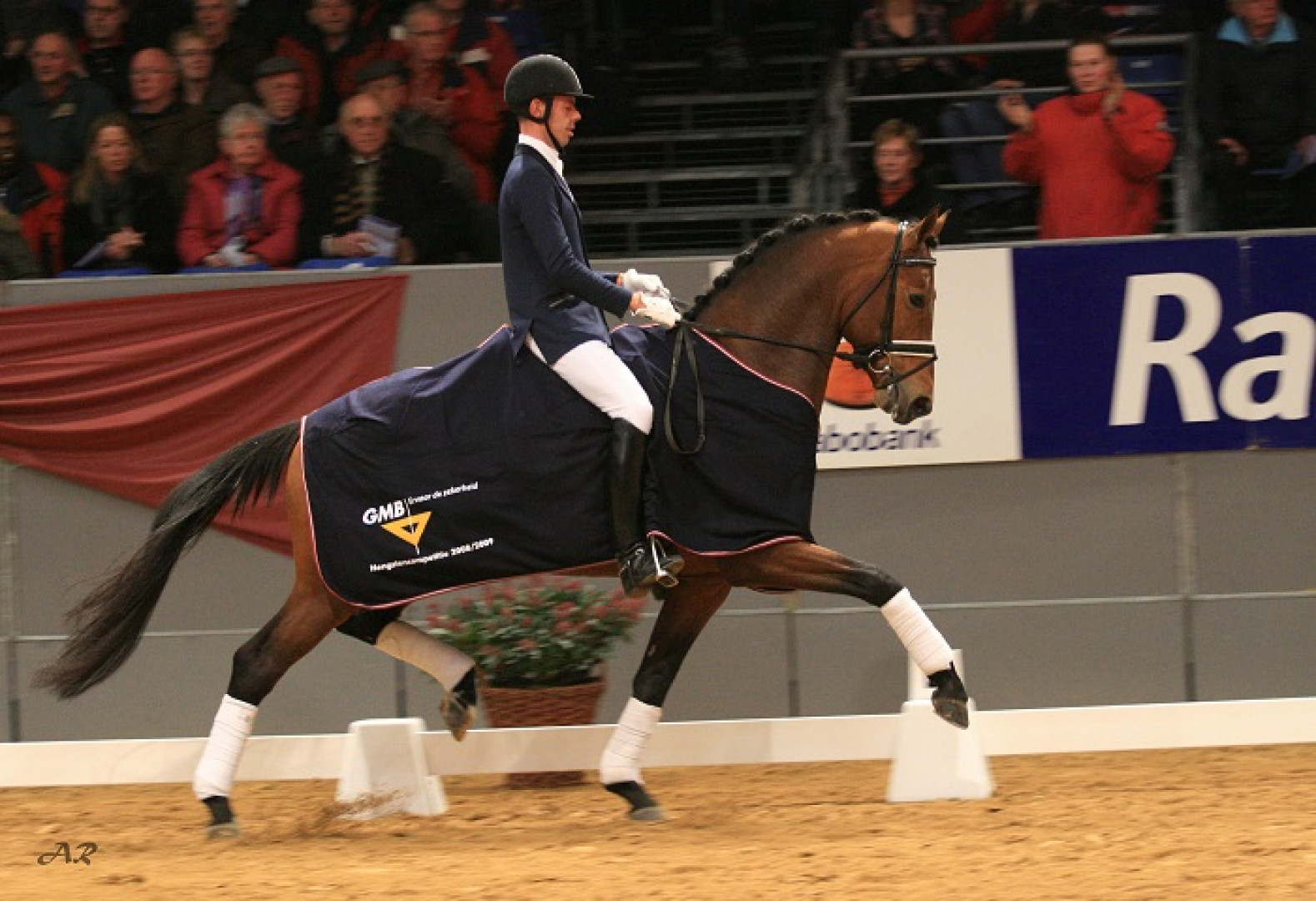 Zizi Top destijds met Hans Peter Minderhoud, o.a. winnaar hengstencompetitie Zuidbroek