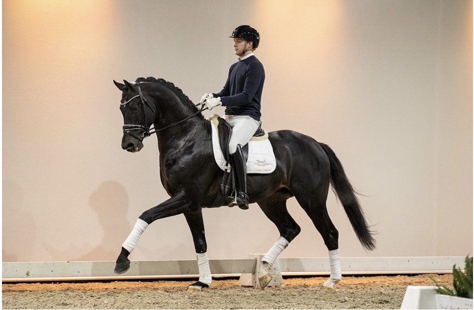 Escobar * El Capone x Sydney