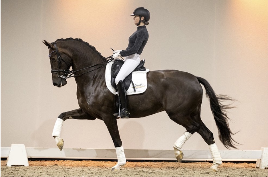 Katniss * Charmeur x Galaxie