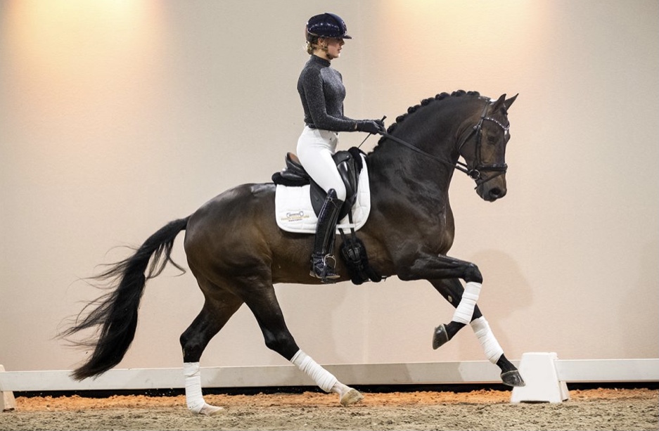 Mendez * Franklin x Easy Game