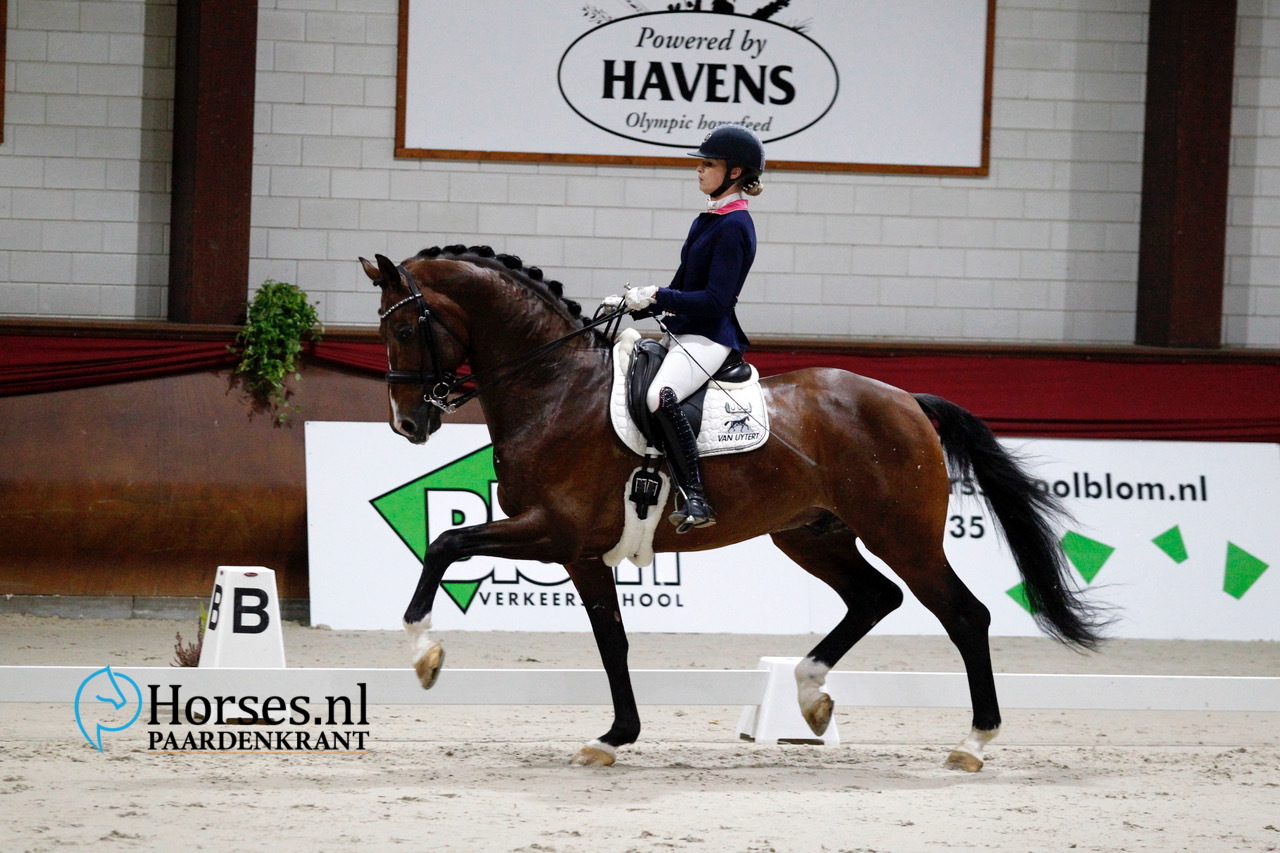 Geniaal & Dinja van Liere