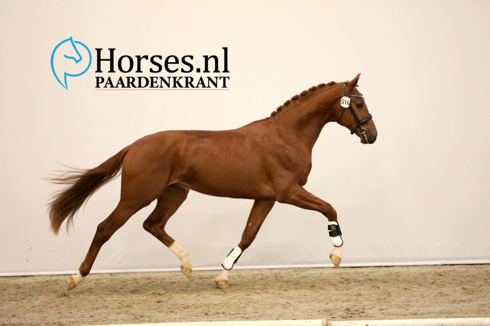 High Five U.S. x Krack C