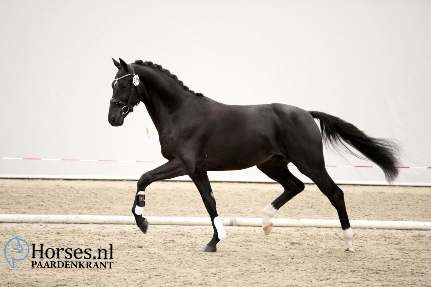 Nick Wimphof ( Just Wimphof x Bordeaux )