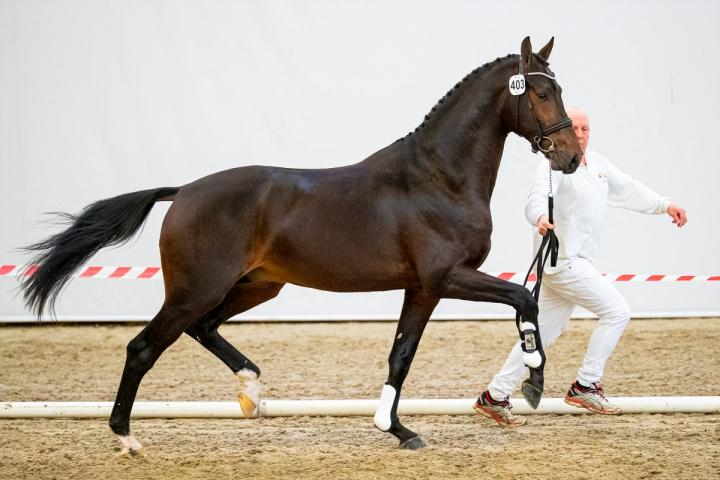 Franklin x United x Jazz