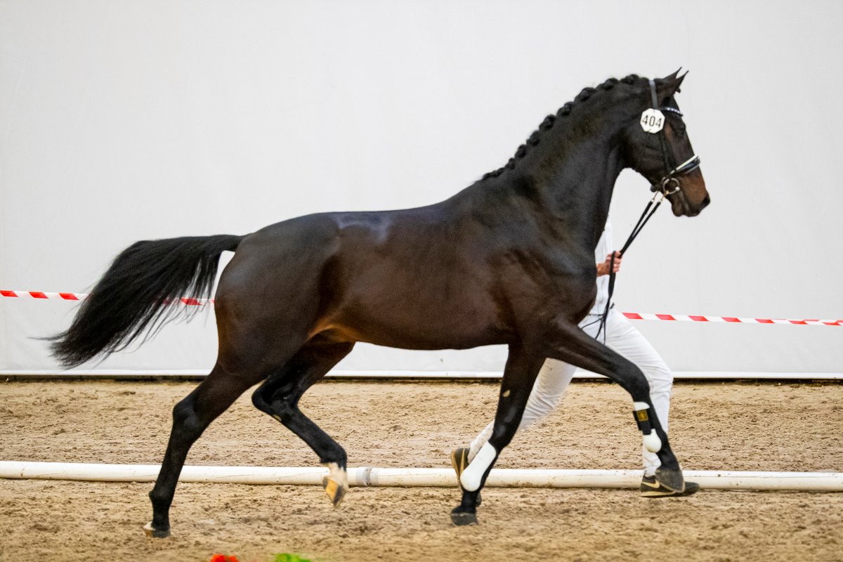 Franklin x Easy Game x Michelangelo