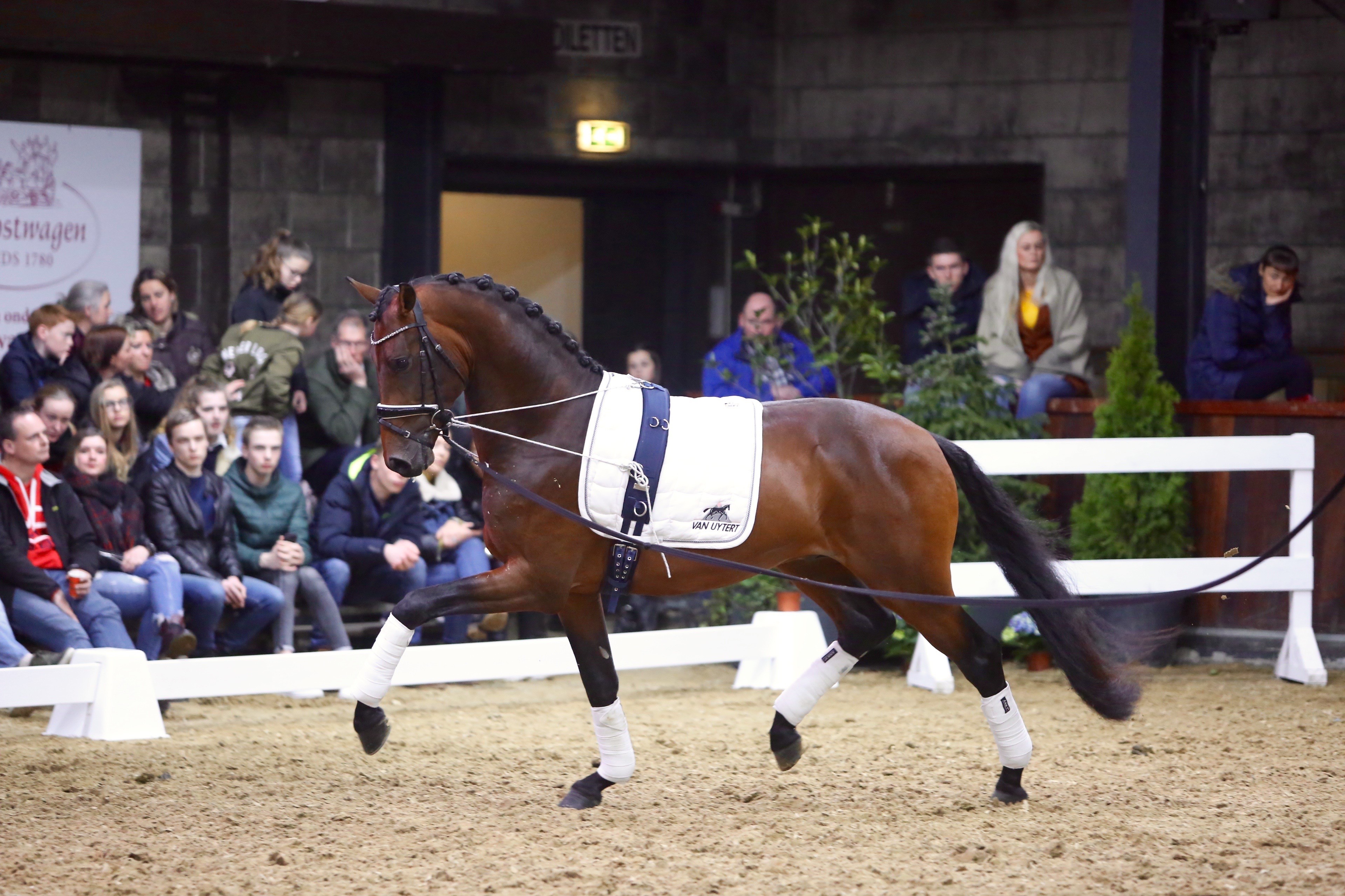 Bond Street (Bordeaux x San Remo)