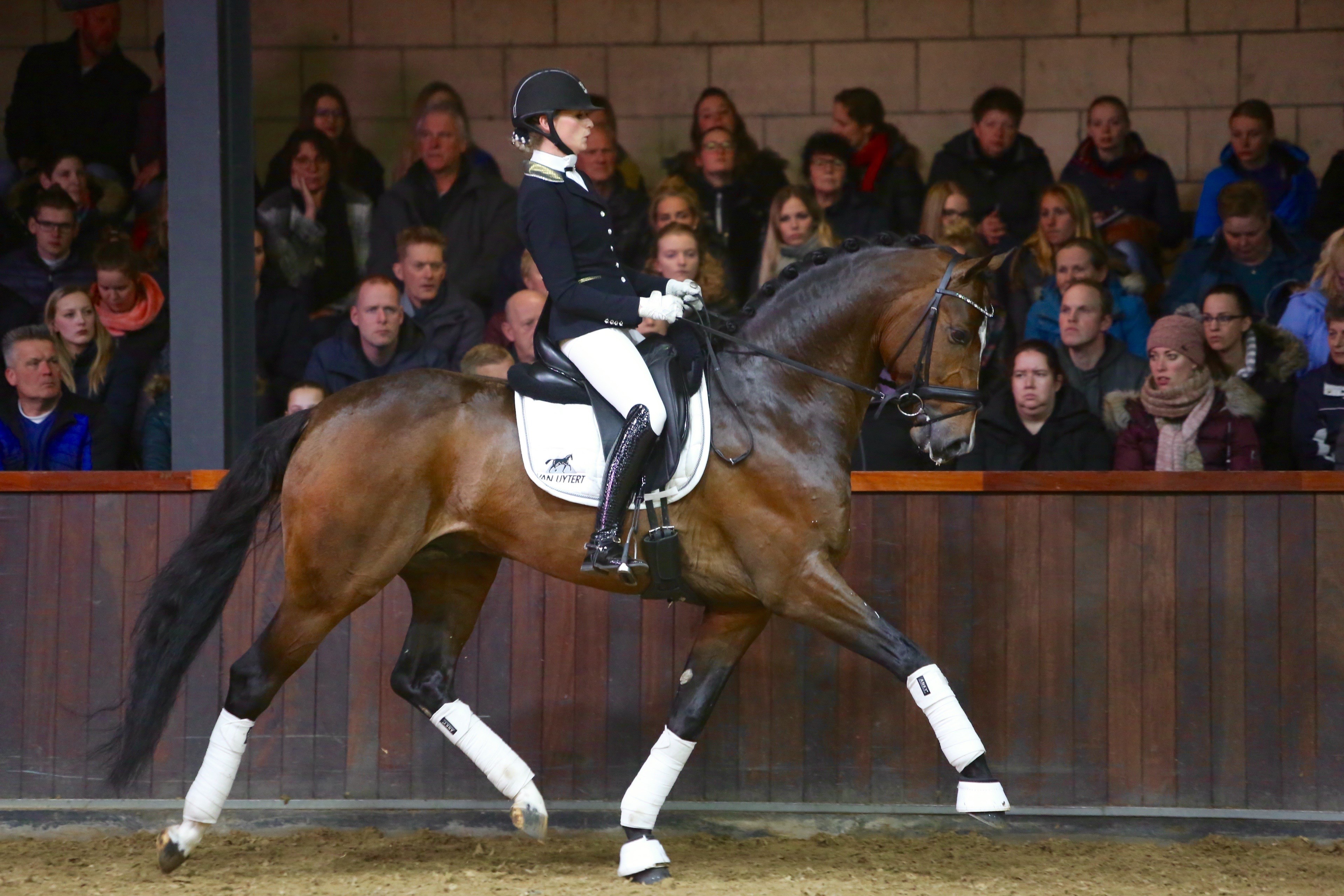 Deparon U.S. met Dinja van Liere