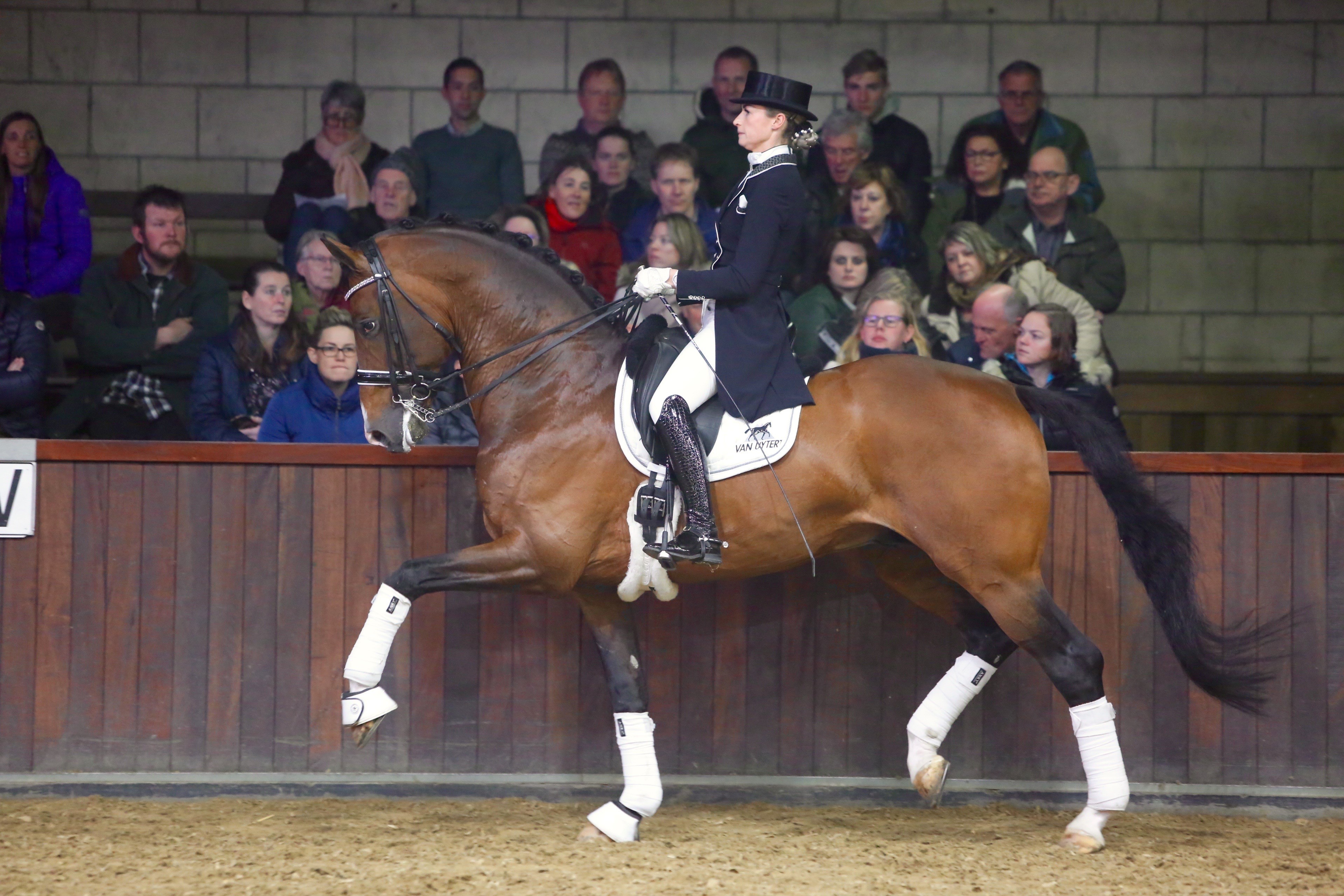 Geniaal en Dinja van Liere