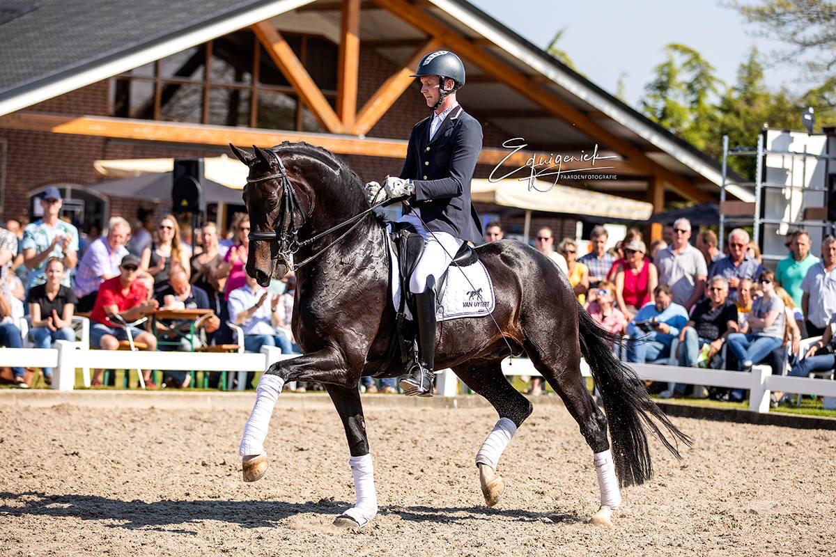 Impression en Diederik tijdens onze prachtige Hengstenshow