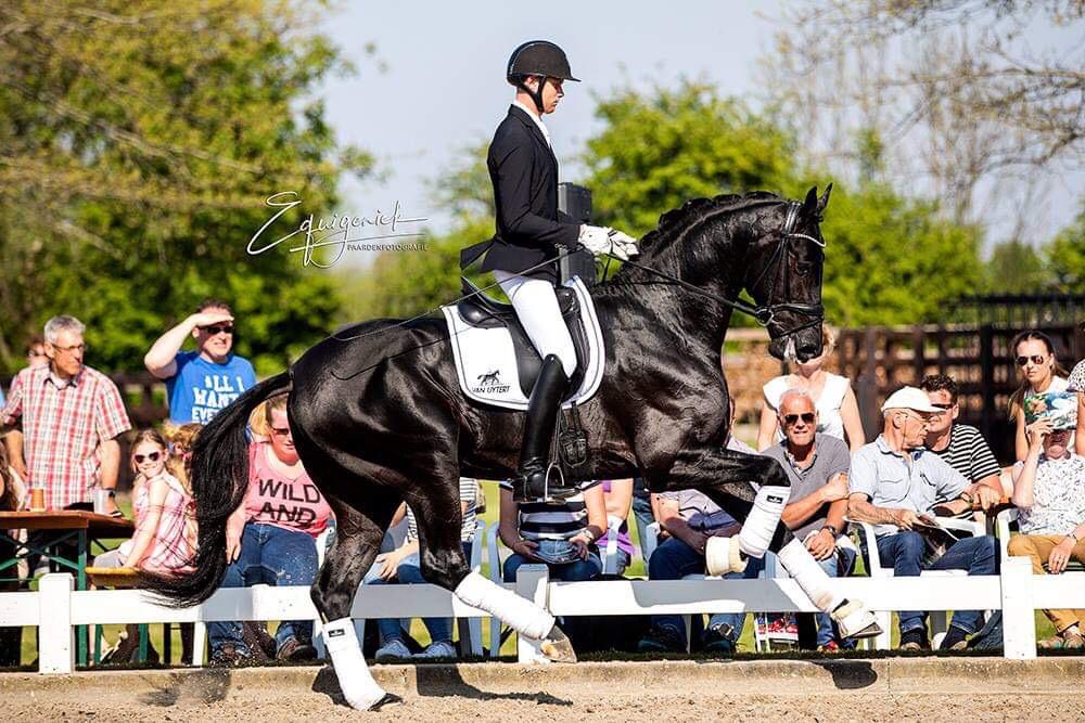 Lord Europe met Soren Wind