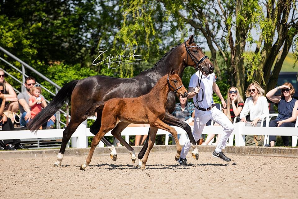 Deparon U.S. x Ferguson x De moeder van Vivaldi