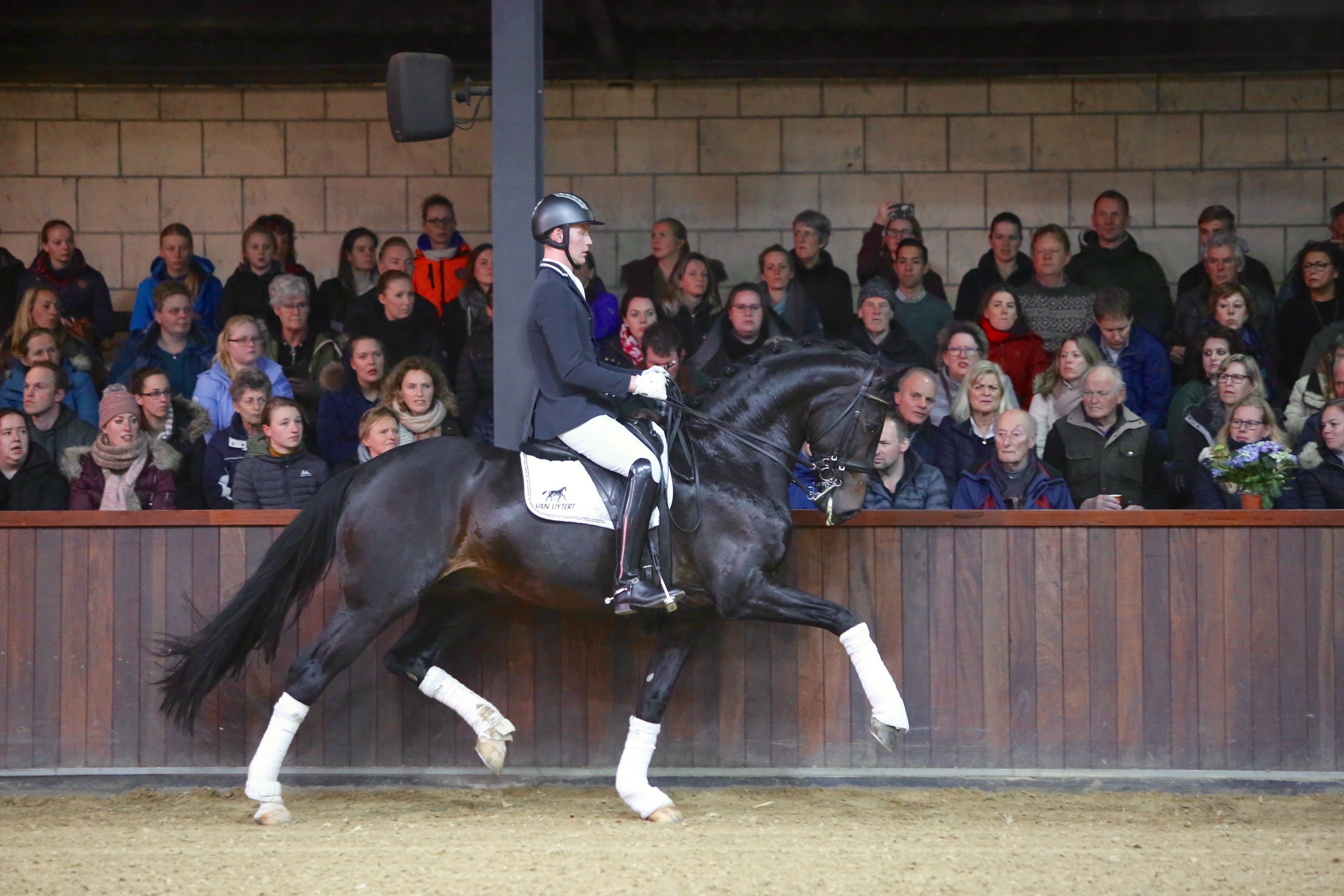 Impression met Diederik van Silfhout