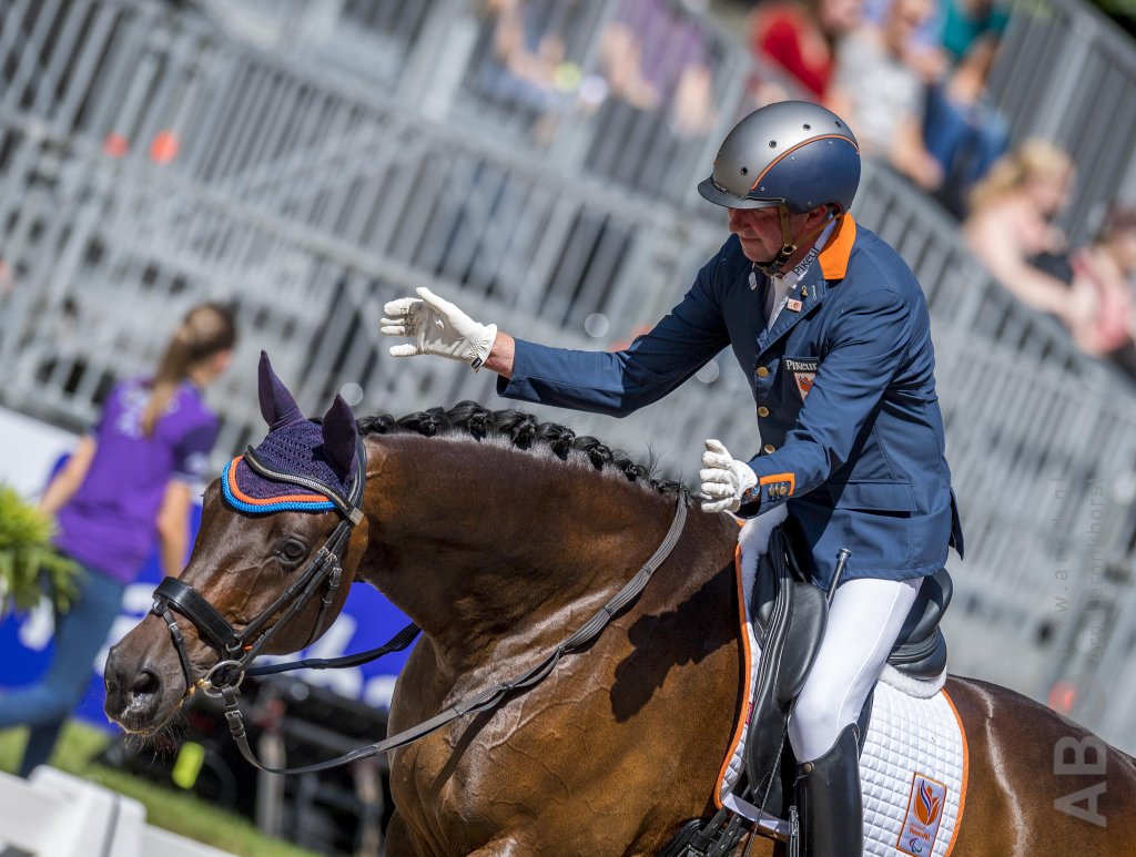 Alphaville N.O.P. en Frank Hosmar