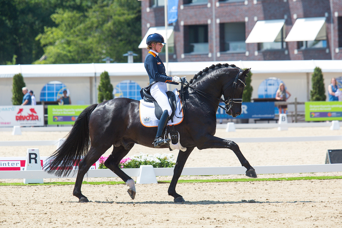 Desperado met Emmelie Scholtens