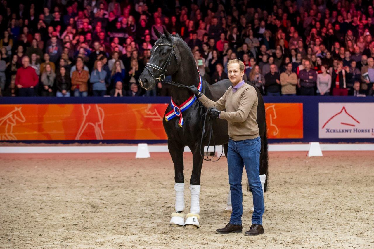 Kippevel bij Totilas & Total US.