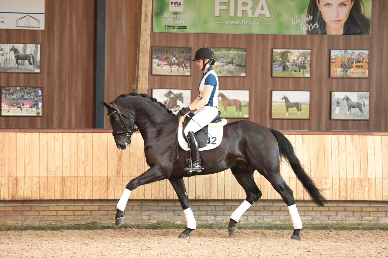 Toto's Design US * Totilas x De Niro