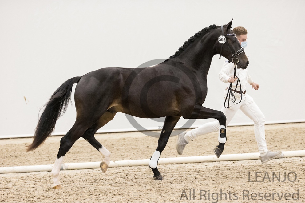 NEXT DESTINO * Jay Destino x Cadans M x Michelangelo