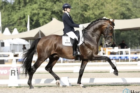 Las Vegas en Franka Loos