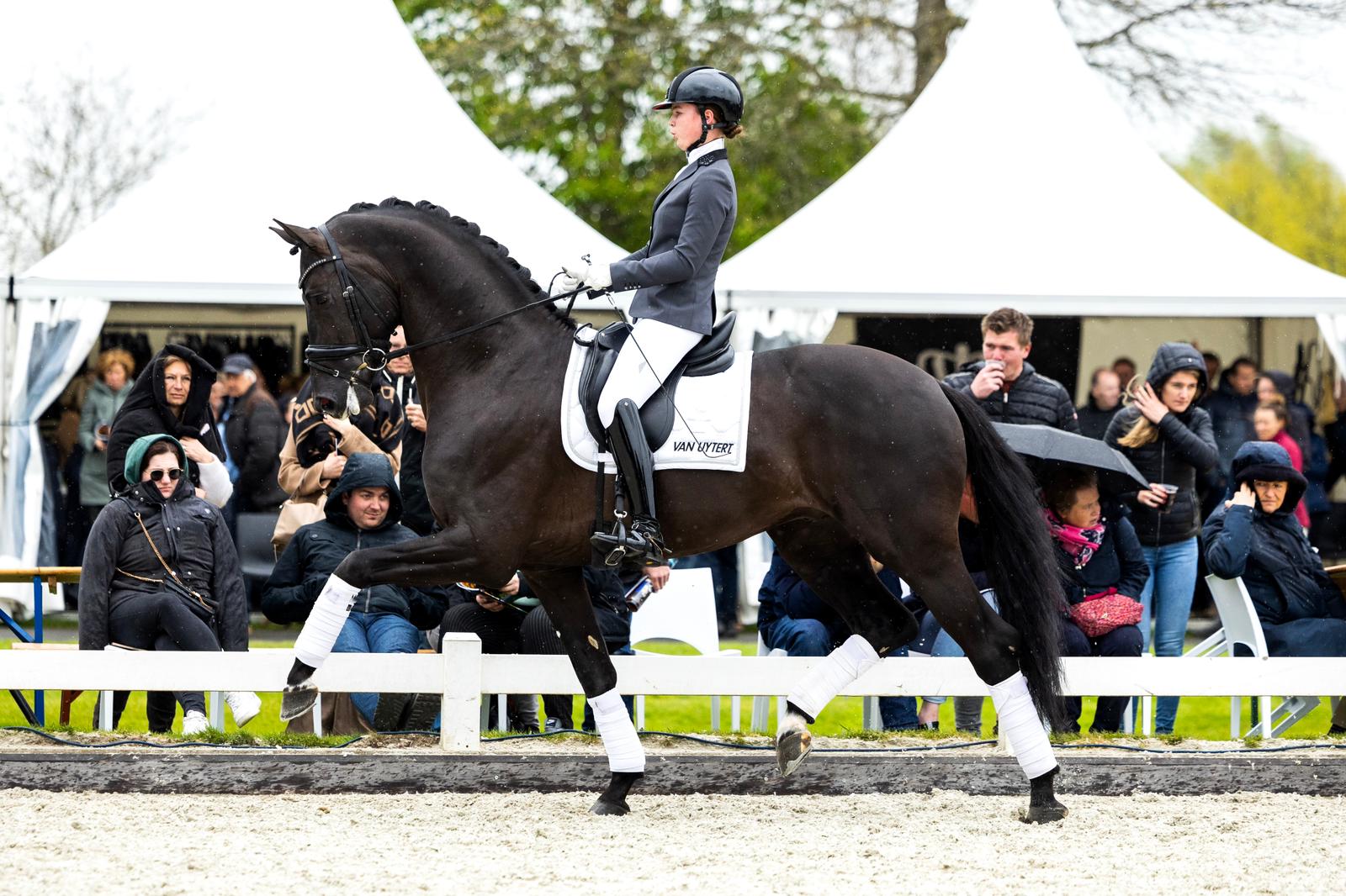 One Million en Robin Heiden