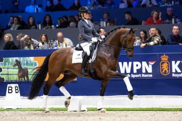 O'Toto van de Wimphof