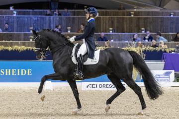 Blue Hors St. Schufro